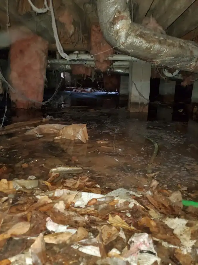 Crawl space flood assessment for Leak Detection & Repair in Connellsville